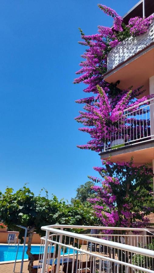 Stella Apartments Vinkuran Exterior photo